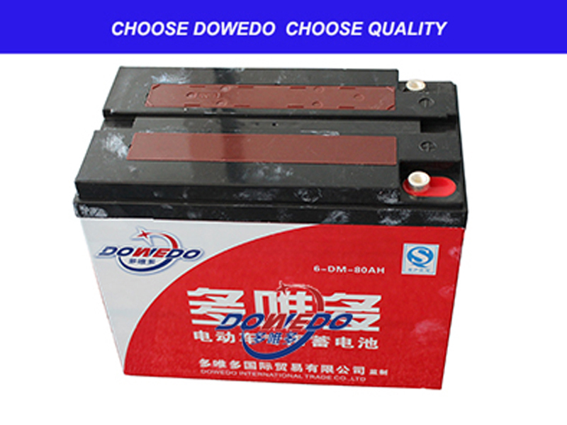 Rickshaw battery
